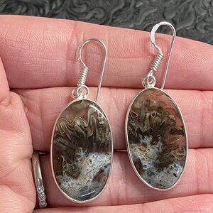 Natural Stick Agate Earrings Stone Crystal Jewelry